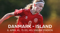 dk-island-some-grafik_1080x1080px-002.jpg